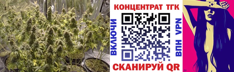 ТГК гашишное масло  даркнет сайт  Нефтекумск 