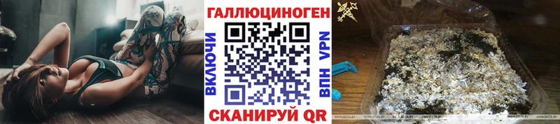 Псилоцибиновые грибы Cubensis  закладка  Нефтекумск 