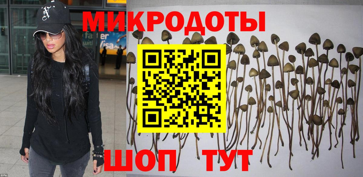 Псилоцибиновые грибы Psilocybine cubensis Нефтекумск